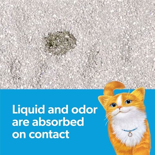 Cat litter absorbing liquid and odor with cartoon cat illustration.