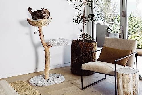 Cat on a tree-like scratching post in a modern living room