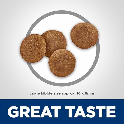 Four large kibble pieces labeled 'Great Taste'.