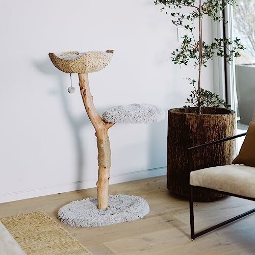 Stylish cat tree with cozy platforms in a minimalist room.