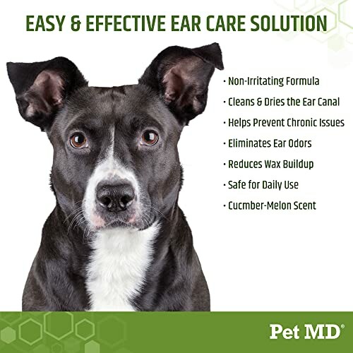 Dog with Pet MD ear care solution benefits listed.