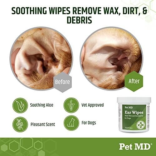 Comparison of dog's ear before and after using Pet MD ear wipes.