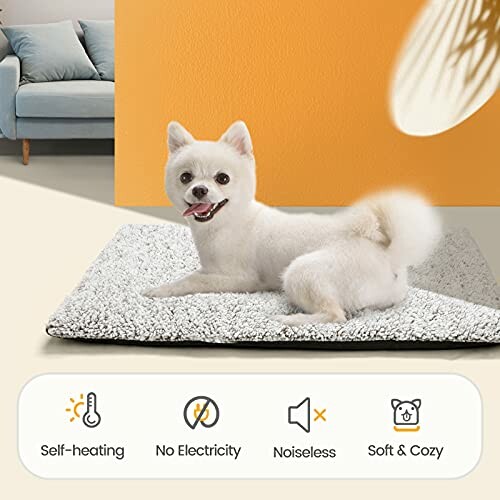 White dog on a self-heating mat with cozy features.